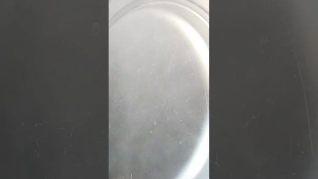 Hyderabadi Beef Pulao By Sana Kashif مزیدار حیدرآبادی بیف پلاؤ смотреть онлайн