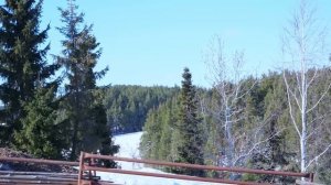 ГОД ЖИЗНИ В УРАЛЬСКОЙ ГЛУБИНКЕ | ФИЛЬМ О ДЕРЕВНЕ