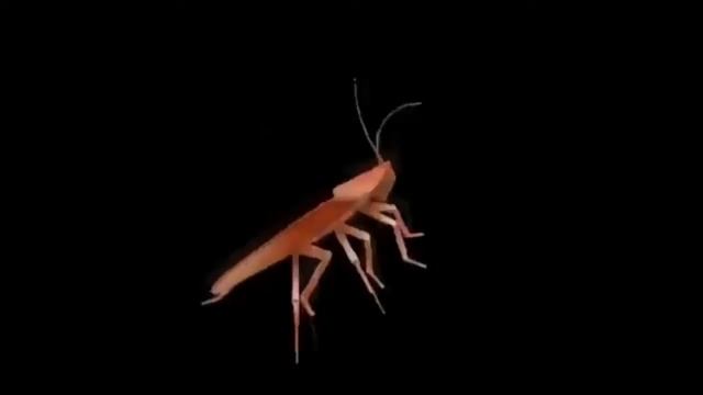 пожилой таракан флексит под Y2k,bbno$ Lalala Bass Boosted