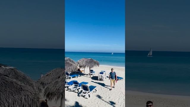 Sol Palmeras Куба сентябрь 2024