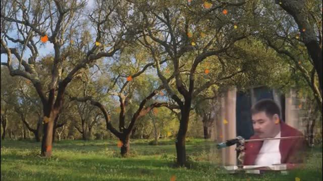 Стадии воспевания, Критика (Лакшми Нараян Дас ) смотреть онлайн