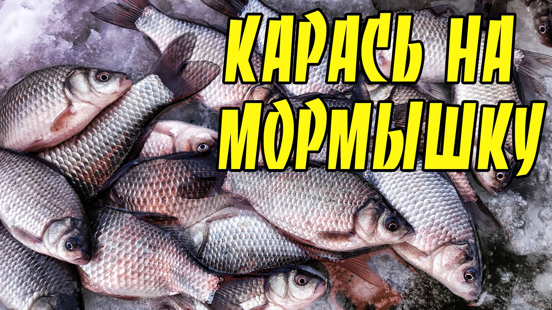 РЫБАЛКА на КАРАСЯ ЛОВЛЯ КАРАСЯ со ЛЬДА ЗИМОЙ смотреть онлайн