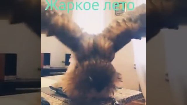 Жаркое лето!!! смотреть онлайн