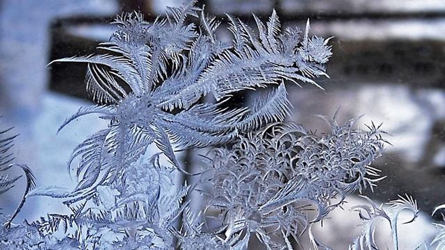 Поэзии таинственная власть. Лариса Руденок
"Мороз-художник" смотреть онлайн