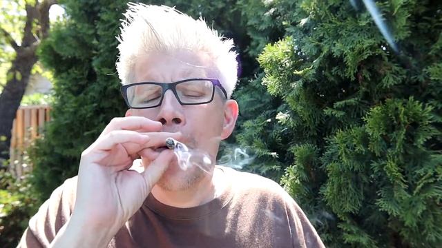 BEMORE #Blunts - Sour Cherry Mojito смотреть онлайн