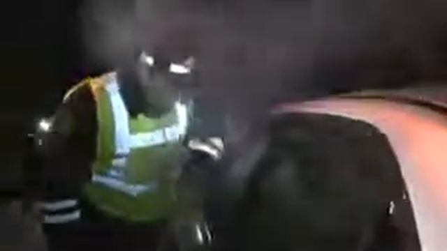 Кекс и укроп!!! смотреть онлайн