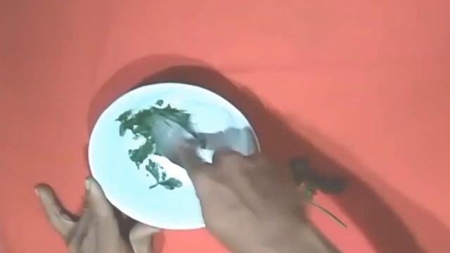 Obat Gatal Gatal Pada Kulit || Ramuan Obat Gatal Pada Seluruh Tubuh Paling Ampuh смотреть онлайн