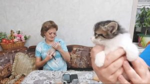 дневник  Обычной женщины)))) в прямом эфире