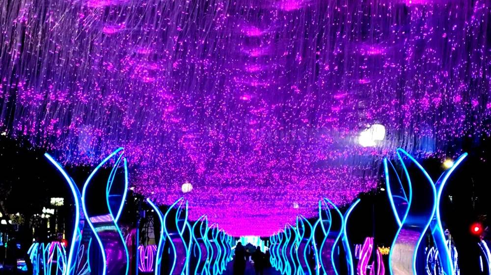 Новогодний Александровский бульвар