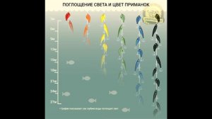 Как видит рыба и важен ли цвет приманки?