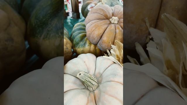 Жара говорите? #shorts #лосанжелес #california #la #русскиевсша #losangeles #калифорния #жизньвсша смотреть онлайн