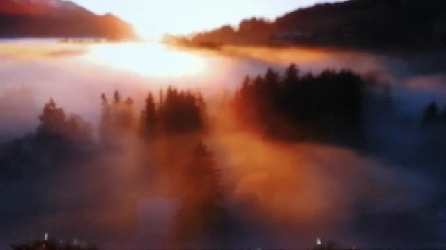 Лечение! смотреть онлайн