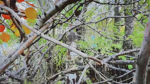 ОЧЕНЬ МНОГО ЗАБРОШЕННЫХ МОГИЛ. Кладбище г. Астана Казахстан ( 29.09.2024) #кладбище смотреть онлайн