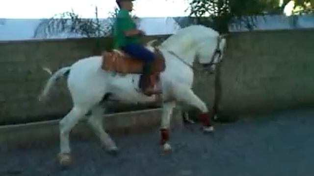 El pancho en Rancho Las Potras смотреть онлайн