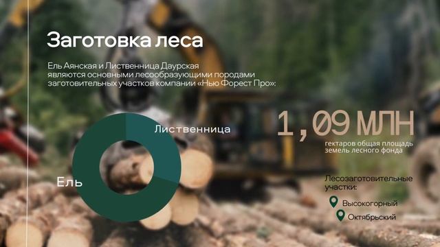 New Forest Pro презентация компании