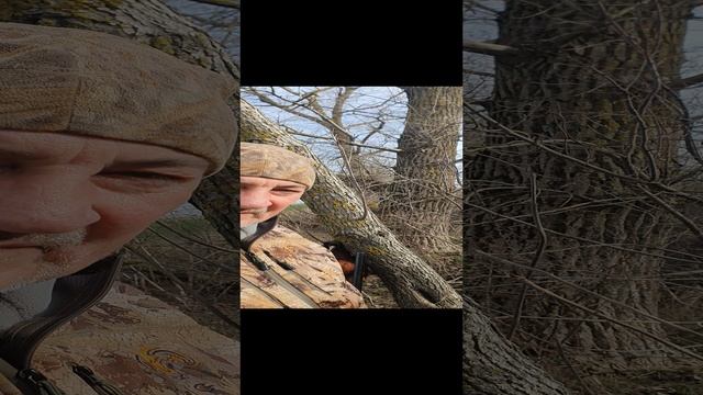 СЮФ КРАСНОДАРСКИЙ