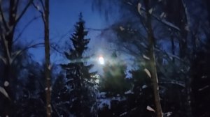 "Рождественская звезда". Стихотворение Бориса Пастернака