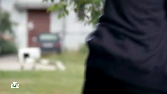 Пасечник 29 сер подпишитесь пожалуста на канал смотреть онлайн