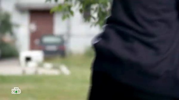 Пасечник 29 сер  подпишитесь пожалуста на канал