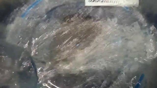 Как создавали мою кошку Мурку.🐈ПРОЧИТАЙ ОПИСАНИЕ!🙏🙏🙏❤️💕 смотреть онлайн