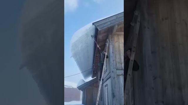 When they say 'don't try this at home,' this man hears 'give it a go!' 😂❄️ ｜ 🎥Collab #sho смотреть онлайн