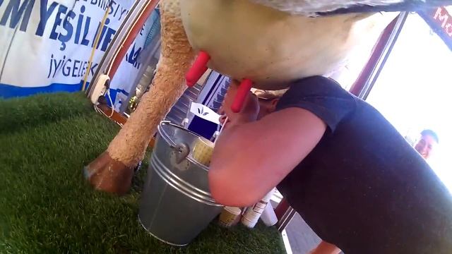 Turkish Ayran смотреть онлайн