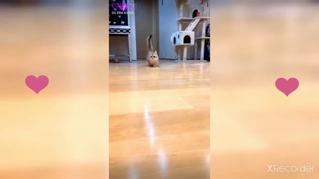 Мультик moto смотреть онлайн