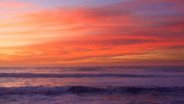 🔴( BIG EXPOSURE ) Dr Biswaroop Roy Chowdhury की हकीकत आई सामने। Divine Health। смотреть онлайн