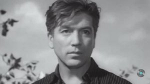 Песня до сих пор трогает до глубины души. Я любил одну милую