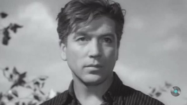 Песня до сих пор трогает до глубины души. Я любил одну милую