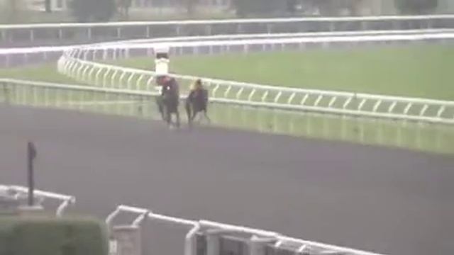 Millennium Star, Pure Prize filly, Keeneland :48 смотреть онлайн