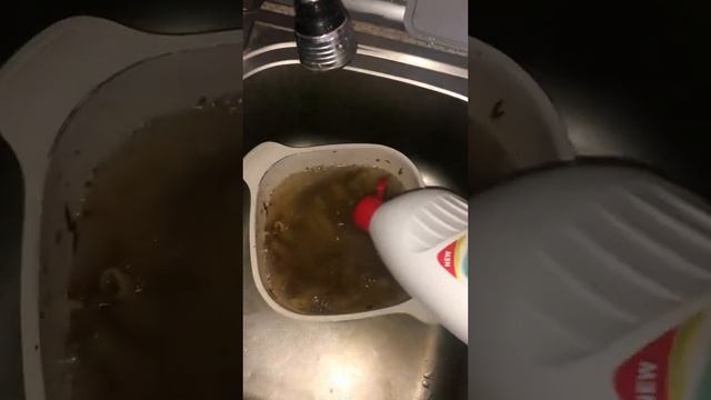макароны с уткой дорблю смотреть онлайн