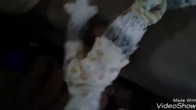 Коты беконы утро и день смотреть онлайн