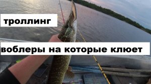 Троллинг. Воблеры на которые клюет.