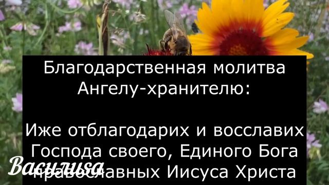 30 ноября День Григория. Что нельзя делать 30 ноября. Народные Приметы и Традиции Дня. смотреть онлайн