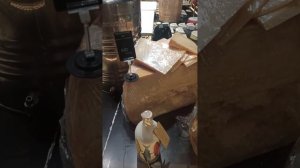 Рынок Поль Бокуз в Лионе с бедняжками пернатыми индюшатами / Франция город Лион