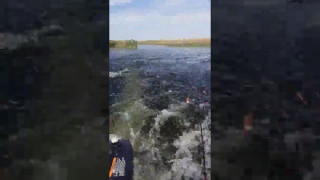 рыбалка на красногорске смотреть онлайн