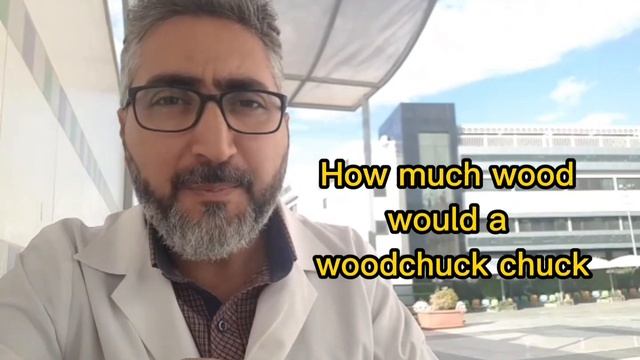 Tongue Twisters - How Much Wood