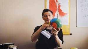 05   продолжаем знакомиться с черепом