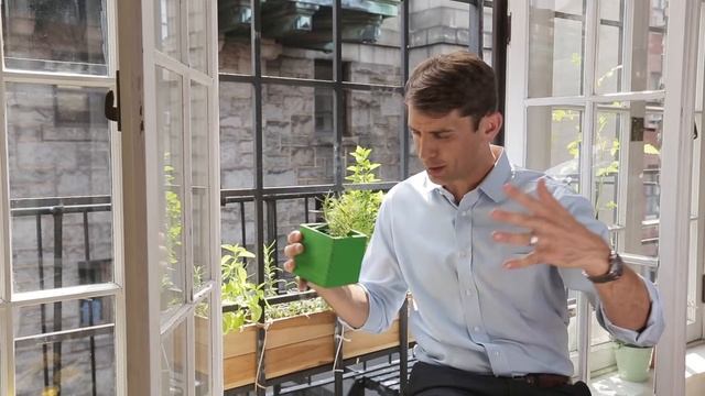 Dr. Drew Ramsey: Could These 3 Herbs Improve Your Health? смотреть онлайн