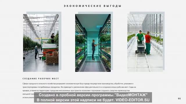 «Развитие зон овощеводства в городских условиях. Типология объектов». смотреть онлайн
