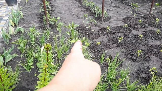 РИСКОВАЛА-МОГЛА 🌸🌴ПОПАСТЬ В ТЮРЬМУ/ТЕЩИНА РАБОТА/ смотреть онлайн