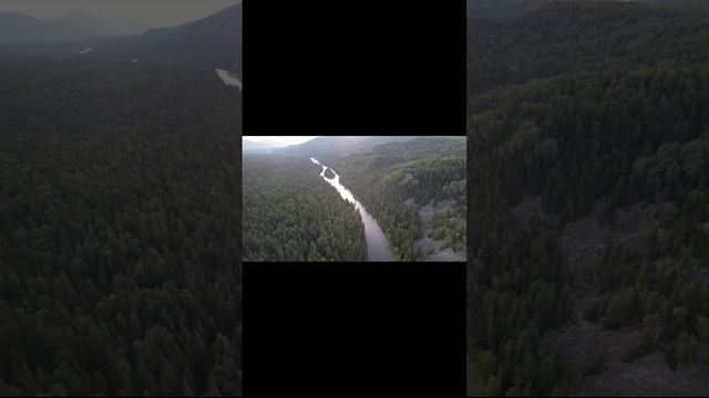 небольшие полеты и видео природы смотреть онлайн