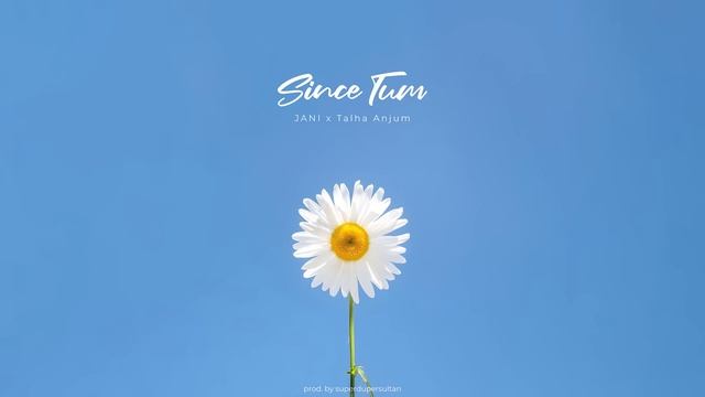 JANI - Since Tum ft. @TalhaAnjum - Prod by @superdupersultan смотреть онлайн