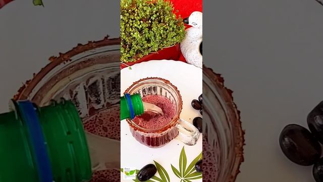 Learn to Make Sugar-Free Black Grape Mojito #ramalakshmiSundararajan смотреть онлайн