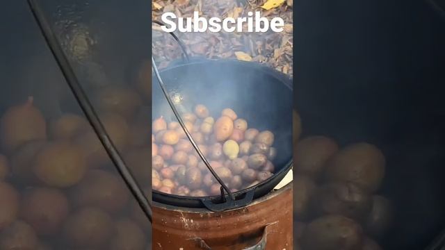 Мясо на кости, отлично готовится на природе . Смотри до конца| Meat on the bone#shrots смотреть онлайн