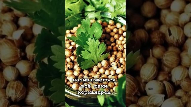 интересные факты о растениях №6 смотреть онлайн