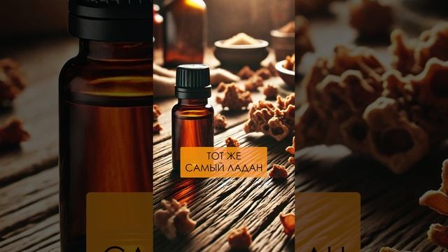 ВОЛШЕБНЫЕ способы применения эфирных масел! #эфирныемасла #ароматерапия #здоровье смотреть онлайн
