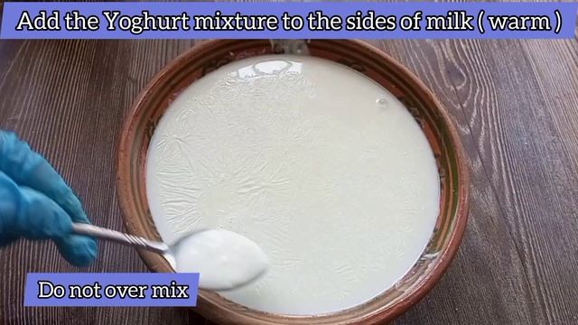 Without Chemicals, Without Cornflour Pure Yogurt Recipe | Easiest Way to Prepare Pure Yogurt in hom смотреть онлайн