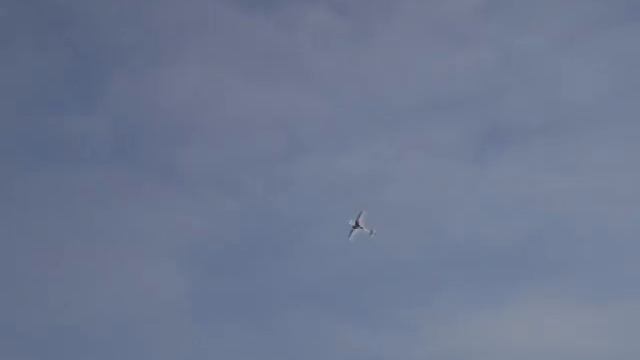 SU-29. RC. смотреть онлайн